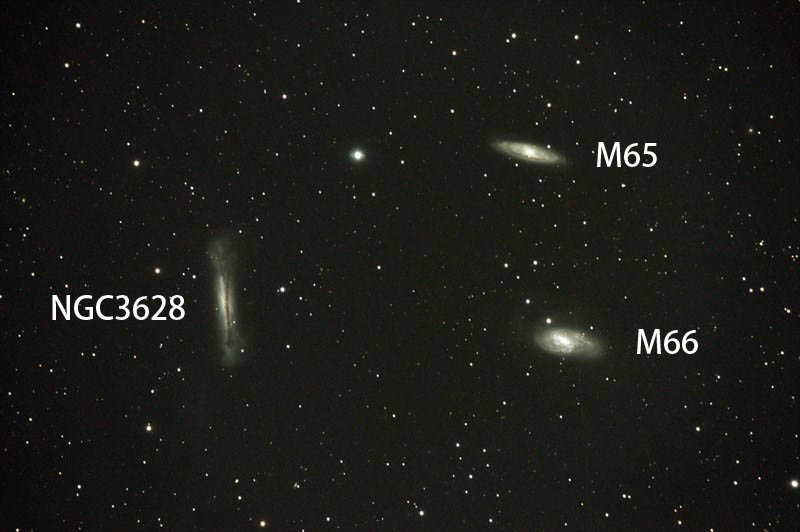 しし座の銀河トリオ　M65 M66 NGC3628